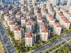 社区盾赛后走向成谜,多伦多猛龙单刀错失,底气十足,控场能力受关注的简单介绍 社区盾赛后走向成谜,多伦多猛龙单刀错失,底气十足,控场能力受关注的简单介绍